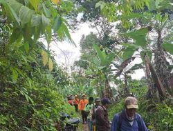 Seorang Nenek Tersesat Di Hutan Desa Sukaraja Lampung Barat, Berhasil Di Evakuasi oleh Tim SAR Gabungan Dalam Keadaan Selamat