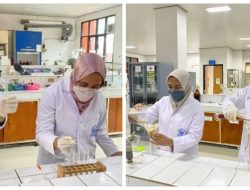 Tim PKM-RE Dipterocarpaceae Inovasi Alternatif Bahan Obat Antidiabetes dan Antikanker dari Kulit Kayu