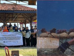 ITERA Konservasi Terumbu Karang Pulau Pahawang