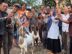 Yusnadi Dorong Pemberdayaan Ekonomi Masyarakat dengan Pemberian Babon Kambing