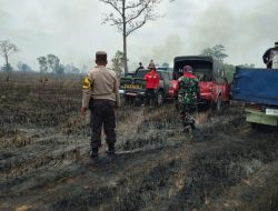 Ratusan Hektar Lahan TN Way Kambas Terbakar Selama Dua Hari