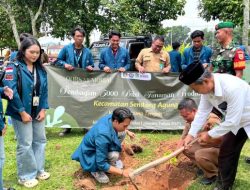 Mahasiswa KKN Tanam 5000 Bibit Dukung Ketahanan Pangan