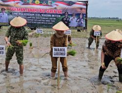 Tanam Padi Serentak di Lampung Timur, Kodam XXI/Radin Inten Dorong Lompatan Produksi Pangan