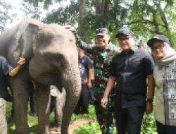 Ketua DPRD Lampung: Atensi Presiden Jadikan Way Kambas Percontohan Nasional Harus Dikawal Bersama