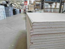 Kesalahan yang Membuat Gypsum Lebih Rentan Diserang Rayap