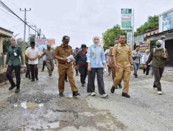 Pemprov Percepat Penanganan Jalan, Wagub Tinjau Langsung Perbaikan Ruas Pringsewu–Pardasuka