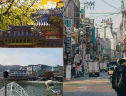 Tour Korea Selatan untuk Keluarga: Liburan Santai yang Nyaman dan Berkesan