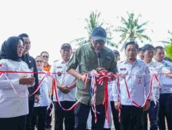 Pemprov Lampung Dorong Kebangkitan Pertanian Mesuji Melalui Teknologi dan Inovasi